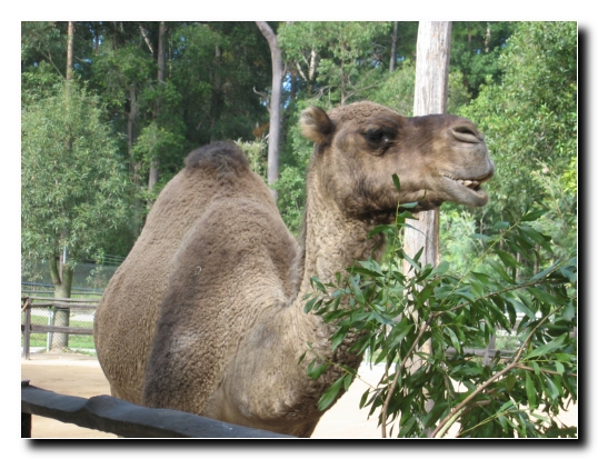 27 Spiegelbild von Gabor